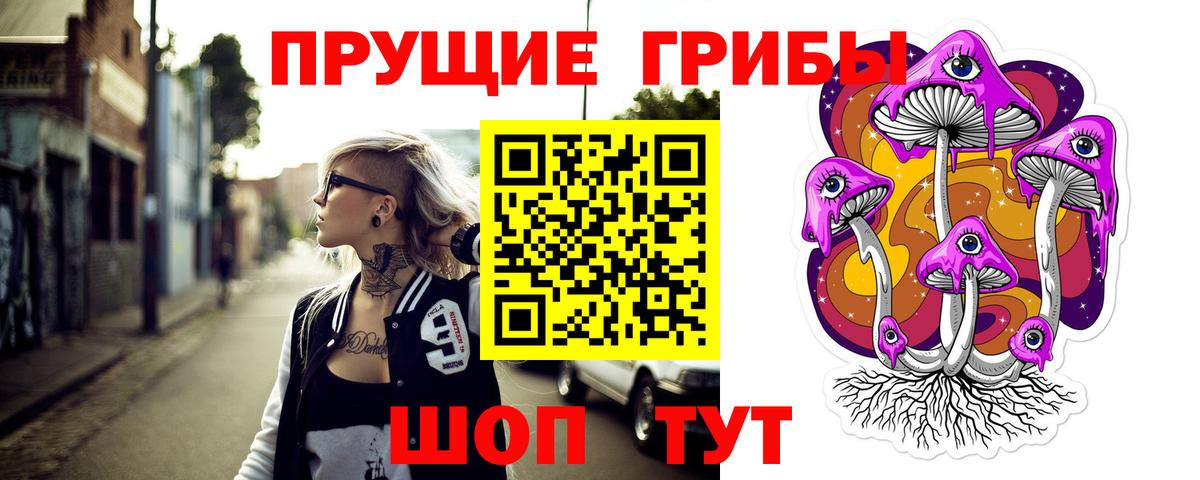 Галлюциногенные грибы GOLDEN TEACHER  Псилоцибиновые грибы MAGIC MUSHROOMS  Вход с VPN  купить наркотики цена  Златоуст 