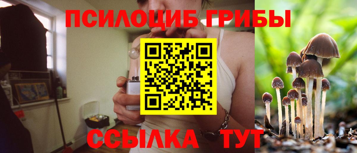 Галлюциногенные грибы мицелий Златоуст
